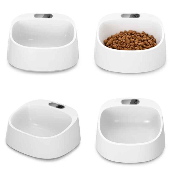 Plato de Comida para Perros con Balanza