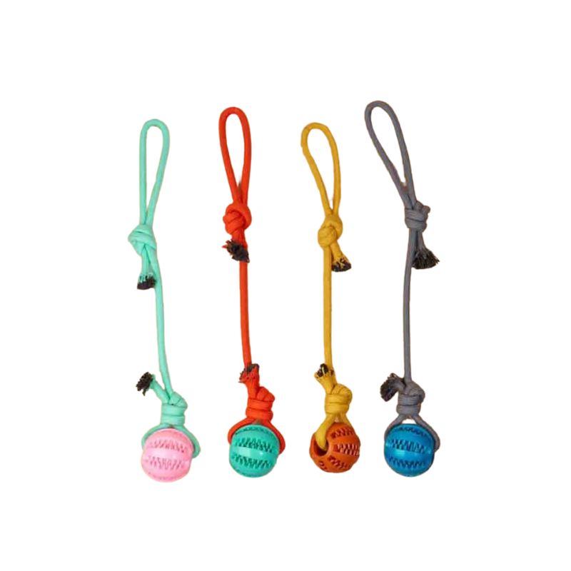 Juguete Perro Cuerda Pelota 2 Juguete Perro Cuerda Pelota 2