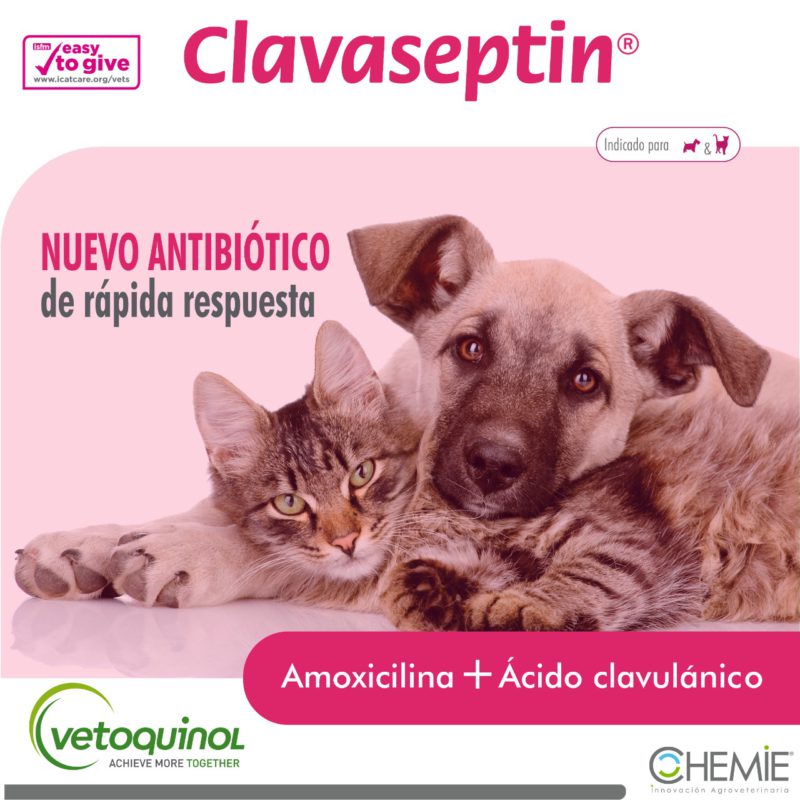 Amoxicillina más barato