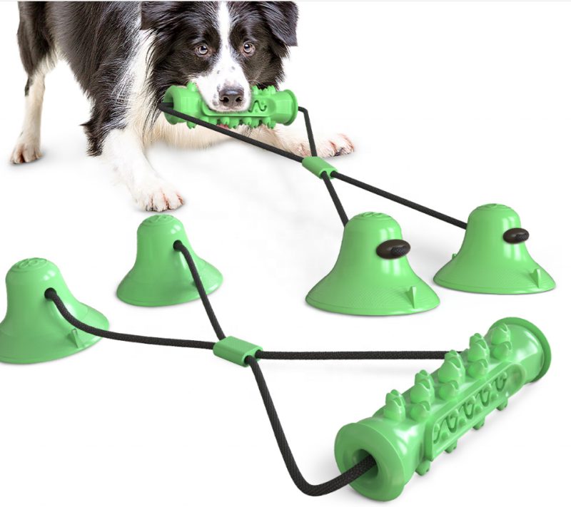 Juguete para Perros con Ventosa