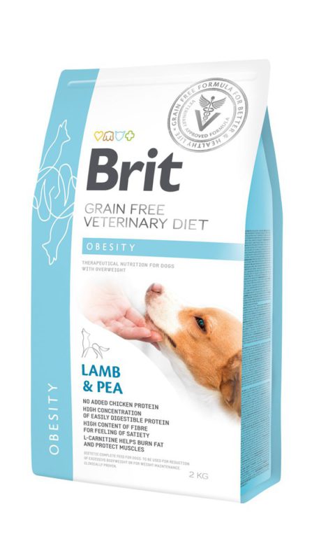 3993726Brit Vd obesity dog 1