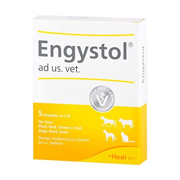 Engystol es un inmuno-modulador que refuerza el sistema inmune de los animales, especialmente en enfermedades virales, que cursen o no con fiebre. Ejemplo: Síndrome respiratorio bovino, influenza porcina, distemper (fase inicial), infecciones por herpes virus, parvovirus, gripe felina, cambio de reactividad en enfermedades de la piel, eczema, prúrito y otitis externa.