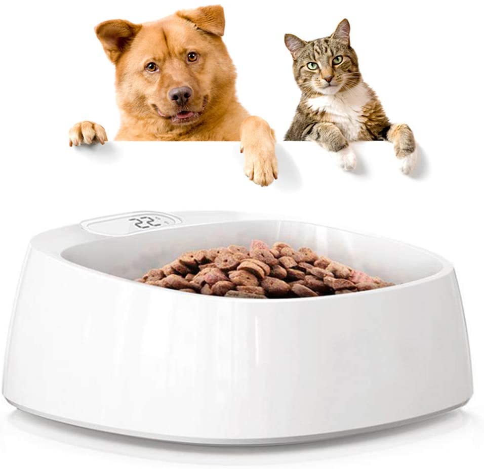 51ycaK0D3KL._AC_SL1000_-1.jpg 51ycaK0D3KL. AC SL1000 1