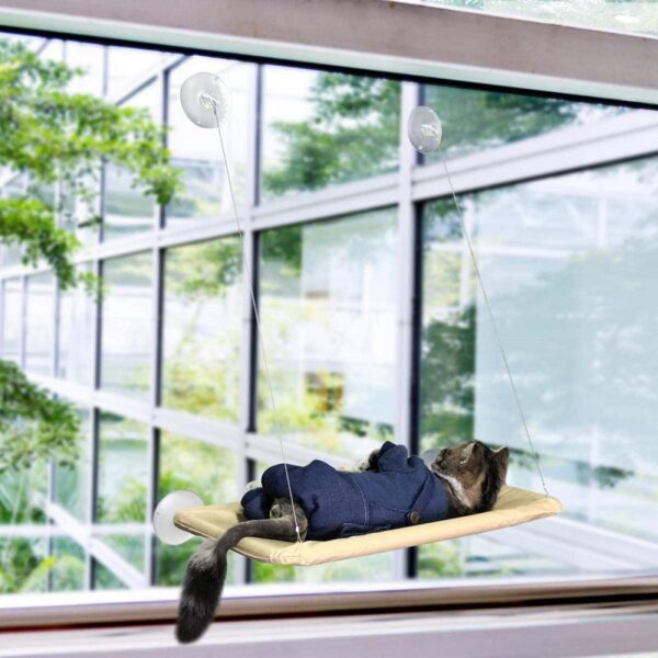 Cama Ventana Gatos es una cama ideal para tus gatos. Como sabemos a los gatos les encanta mirar por la ventana.