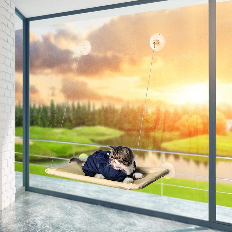 61iTOOWm0IL._AC_SL1200_-2.jpg 61iTOOWm0IL. AC SL1200 2