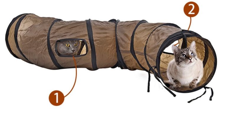 61wwJxpyNPL._AC_SL1200_-1.jpg 61wwJxpyNPL. AC SL1200 1