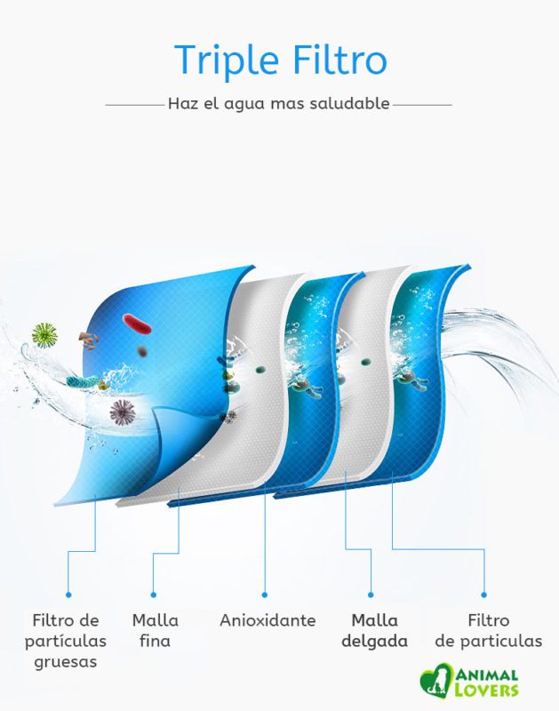 6609-animallover-3-1.jpg 6609 animallover 3 1