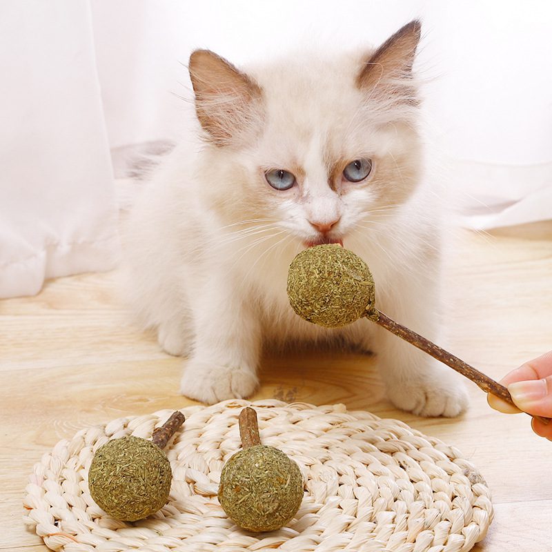 78016182077615-3-2.jpg 78016182077615 3 2