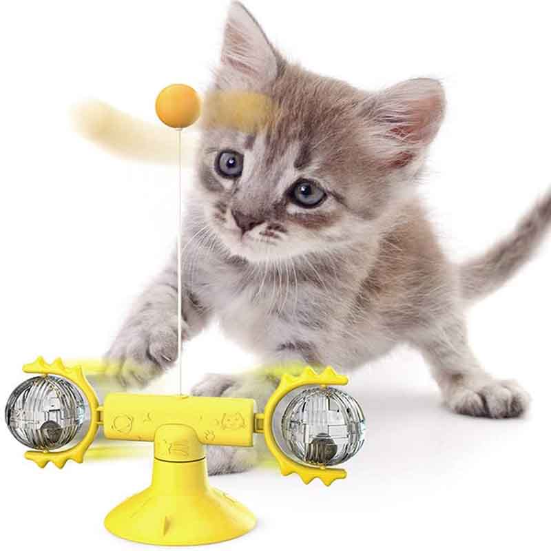 7807661001236-2.jpg 7807661001236 2