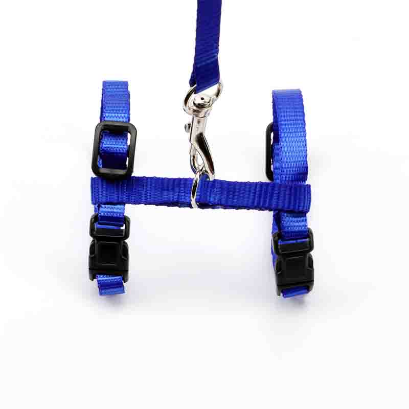 7807663001456-2-1.jpg 7807663001456 2 1