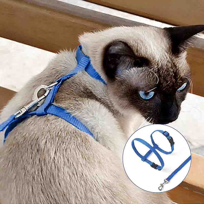 7807663001458-2-1.jpg 7807663001458 2 1