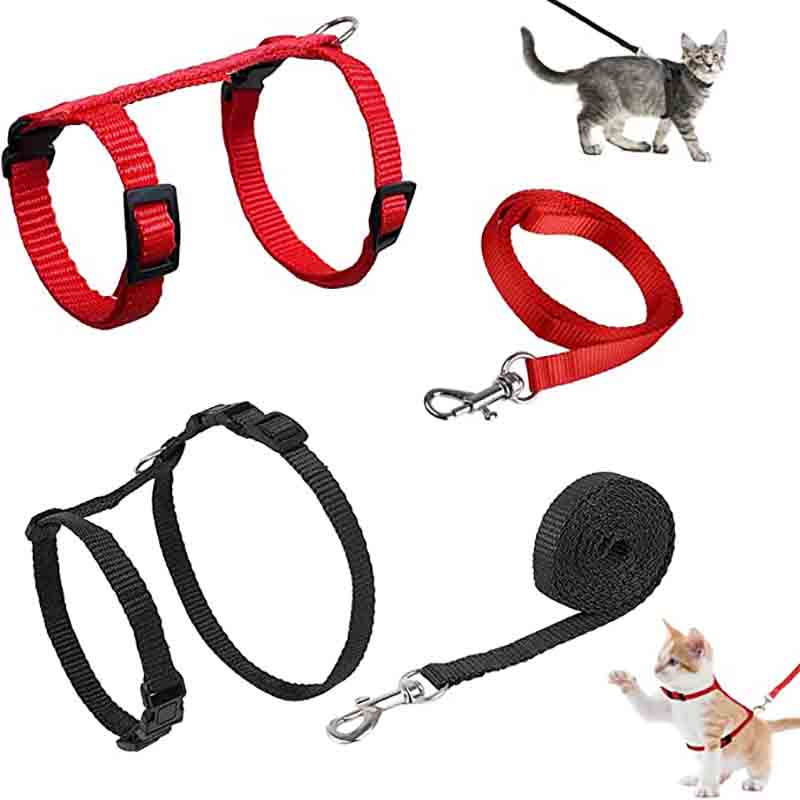 7807663001460-2-1.jpg 7807663001460 2 1