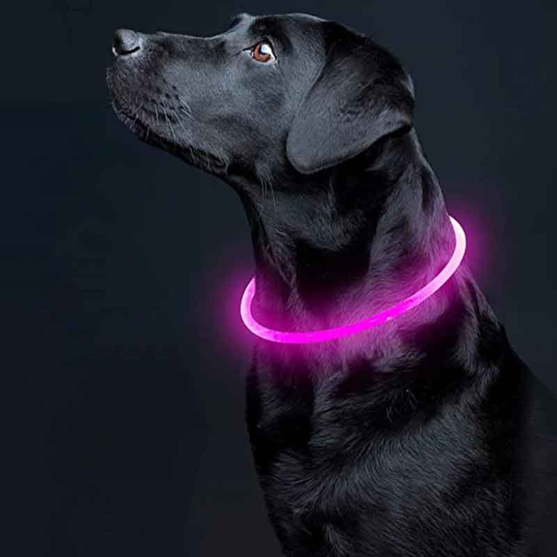 7807663001872-5-1.jpg 7807663001872 5 1