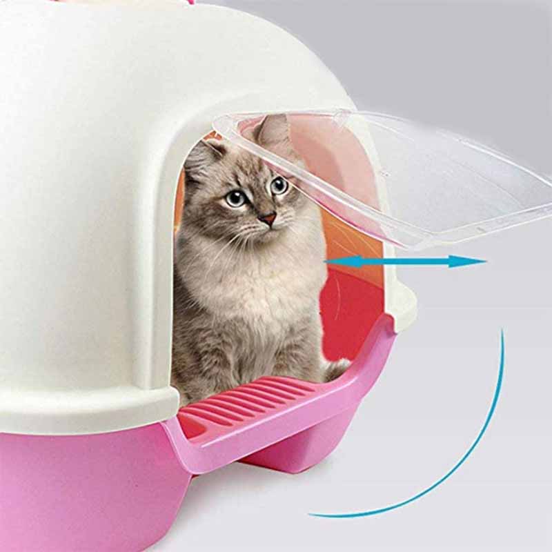 7807665001069-1-1.jpg 7807665001069 1 1