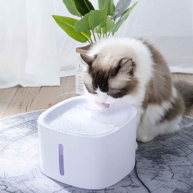 7807666001003-4-1.jpg 7807666001003 4 1