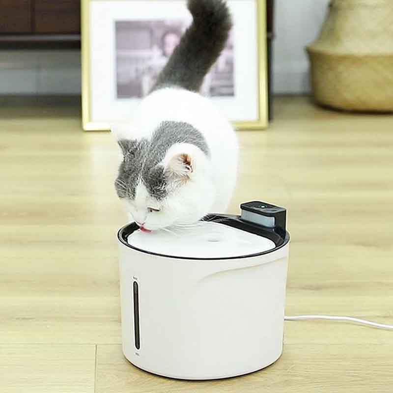 7807666001047-8-1-1.jpg 7807666001047 8 1 1