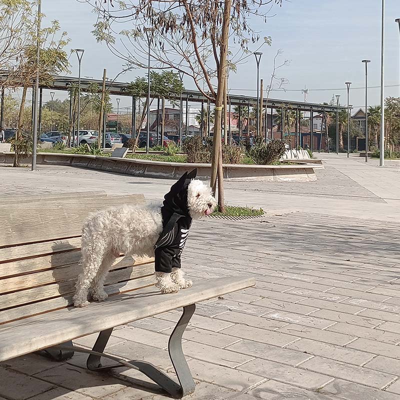 7807668001782-3-1.jpg 7807668001782 3 1