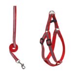 Arnes correa 1cm reflectante arnes 2cm Rojo 1 1
