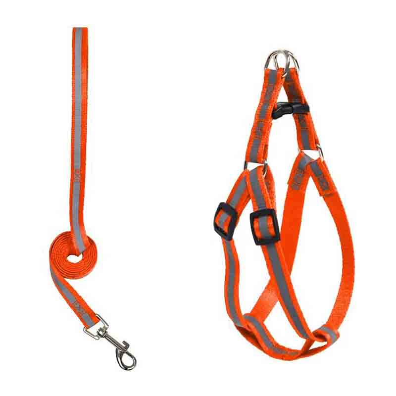 Arnes-correa-1cm-reflectante-arnes-2cm-naranjo-1-1.jpg Arnes correa 1cm reflectante arnes 2cm naranjo 1 1