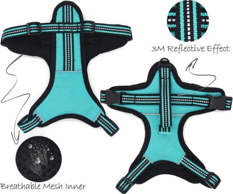 Arnes-perro-gande1-1.jpg Arnes perro gande1 1