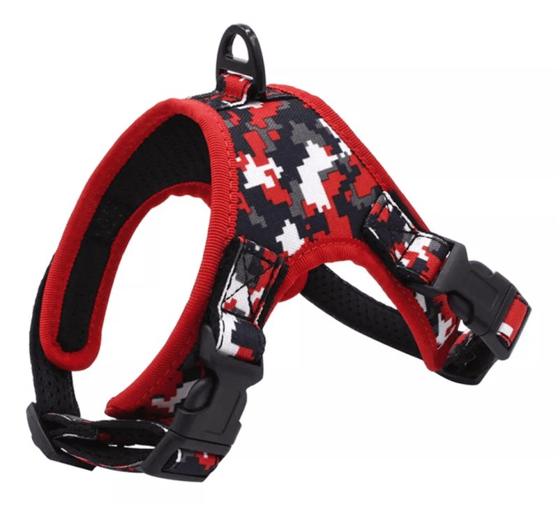 Arnes-y2-1.jpg Arnes y2 1