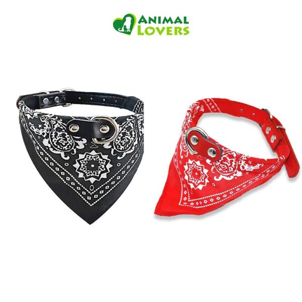 BANDANA 1