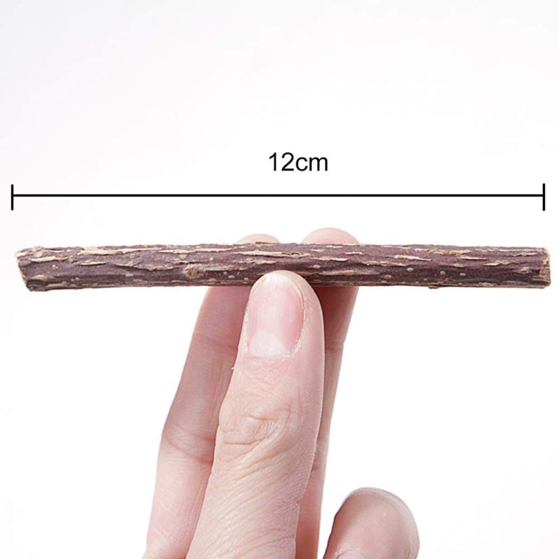 Barracatnip-5-1.jpg Barracatnip 5 1