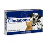 CLINDABONE3986118 1