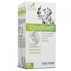 CONDROVET2066901 1