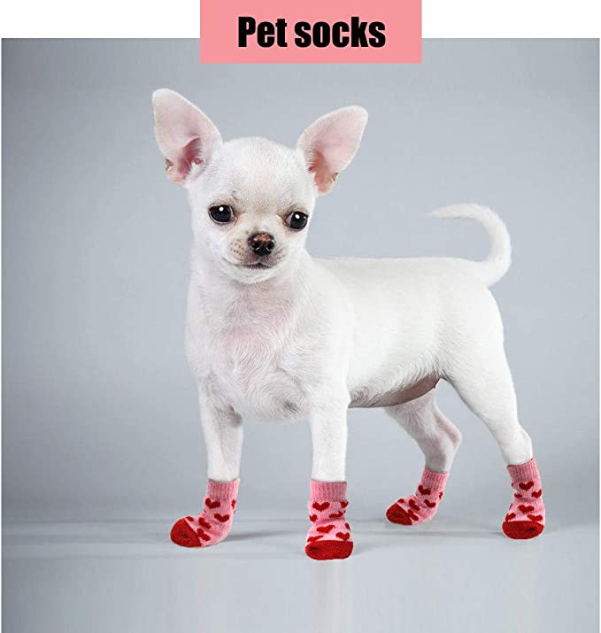 Calcetin-perro-2-1.jpg Calcetin perro 2 1