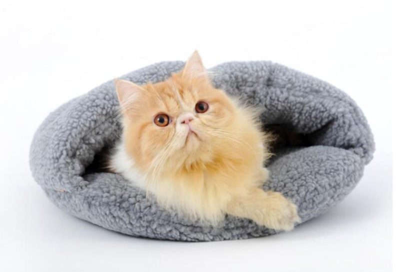 Cama-sobre-7-1.jpg Cama sobre 7 1