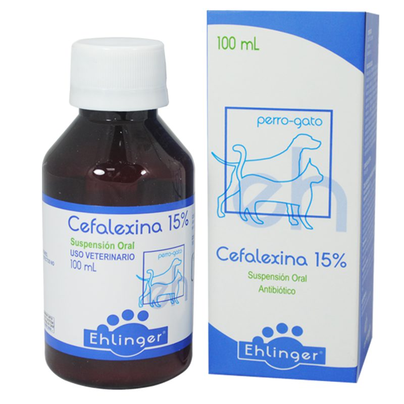 Cefalexina-1.jpg Cefalexina 1