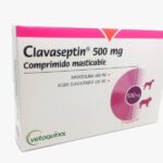 Clavaseptin 500 mg 1