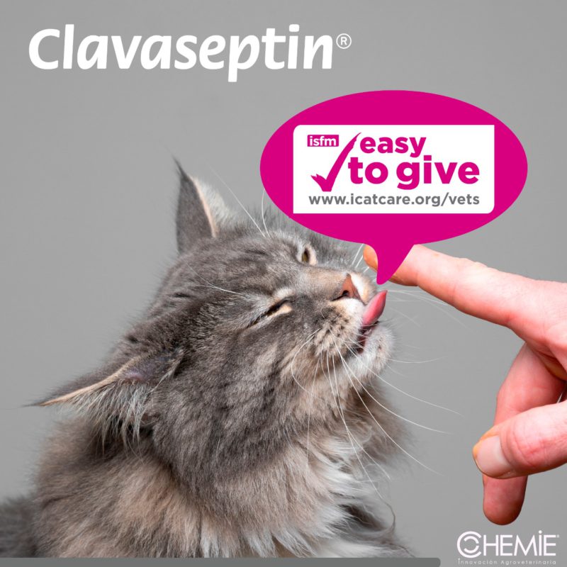 Clavaseptin-Facilidad-de-Administracion-1.jpeg Clavaseptin Facilidad de Administracion 1