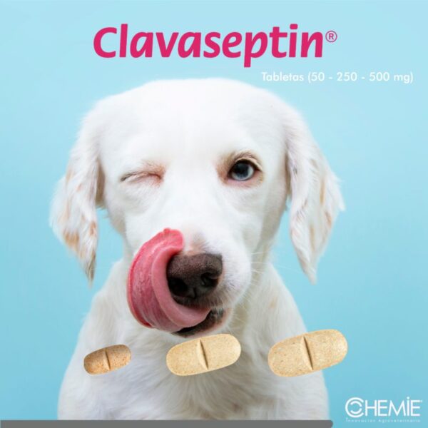Clavaseptin Rango Presentacion simple 1