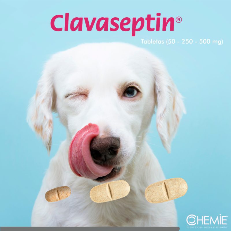 Clavaseptin-Rango-Presentacion-simple-1.jpeg Clavaseptin Rango Presentacion simple 1