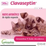 Clavaseptin Resumen 1