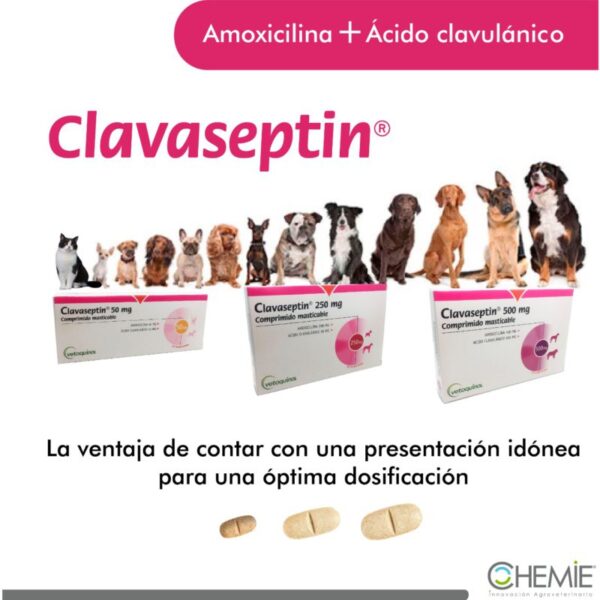 Clavaseptin rango presentacion 1