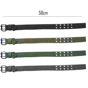 Collar para Perro 58 cm Agujeros Dobles 2