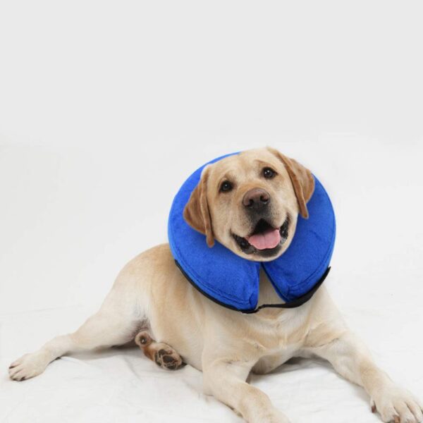 Cuello para mascotas post quirurgico inflable 1