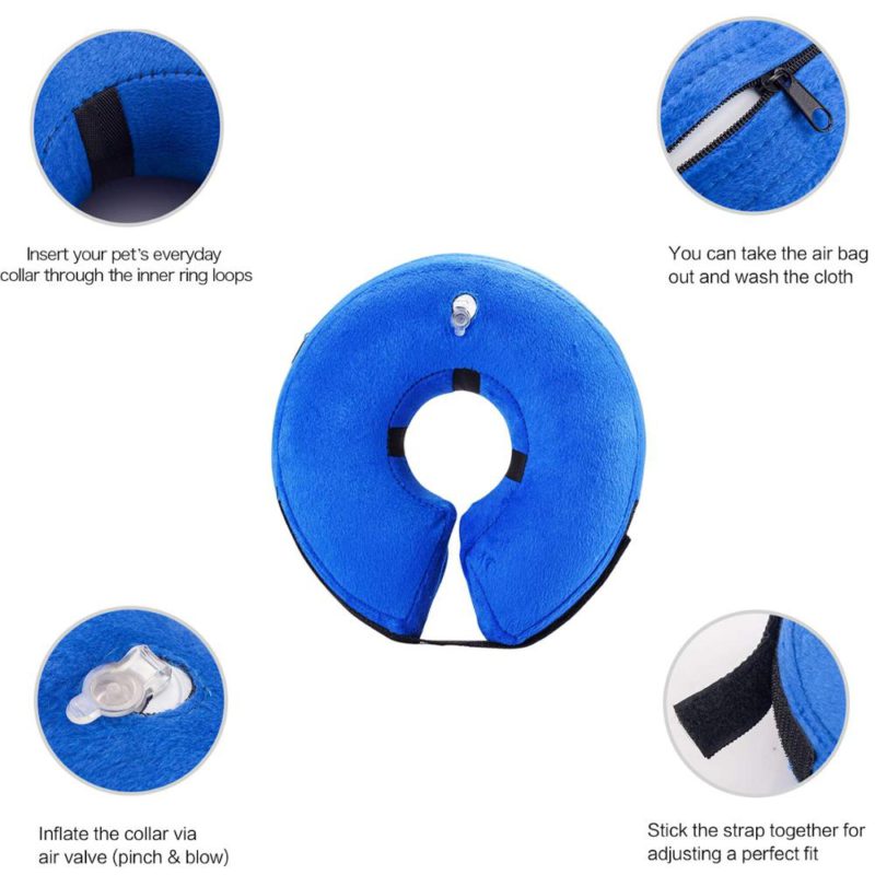 Cuello-para-mascotas-post-quirurgico-inflable-3-1.jpg Cuello para mascotas post quirurgico inflable 3 1