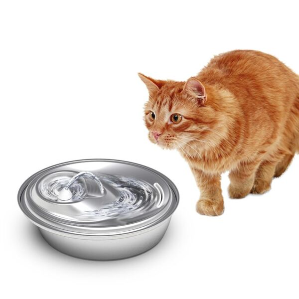 Bebedero de Acero Inoxidable para Gatos – Hidratación Premium y Estilo Moderno Mantené a tu gato saludable y feliz con este bebedero.