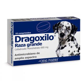 DRAGOXILO RG2297017 1
