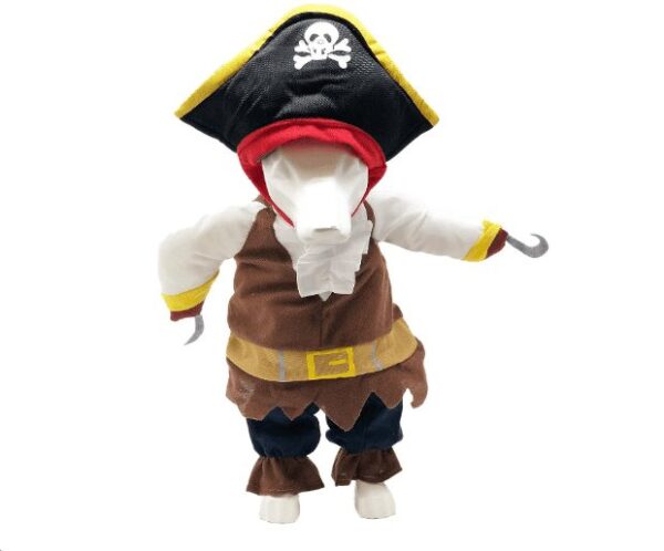 Disfraz Pirata completo 1