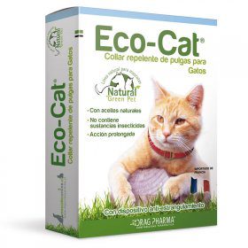 ECO CAT195775 1