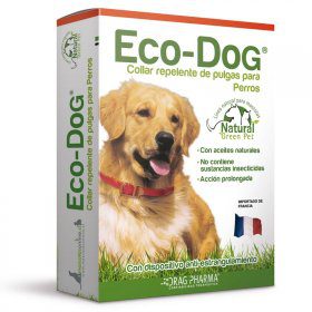 ECO DOG2945749 1