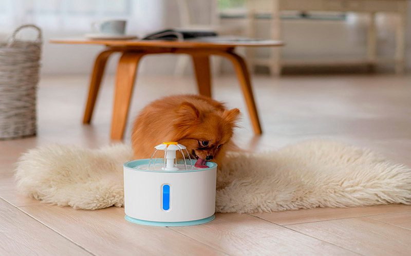 Fuente-agua-animallover-T101.10-2.jpg Fuente agua animallover T101.10 2