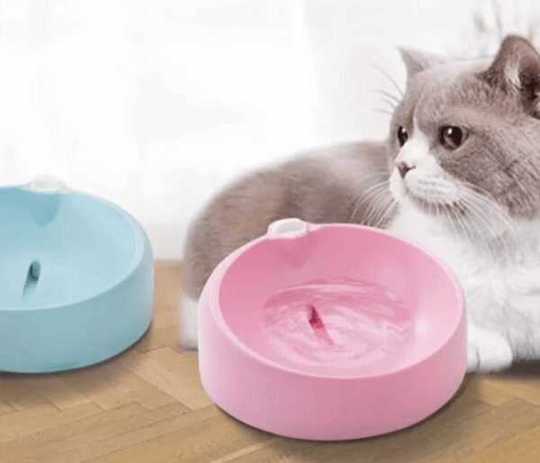 Fuente de Agua Automática en dos colores rosa y celeste