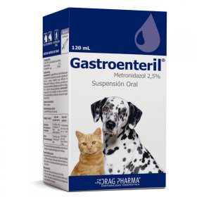 GASTROENTERIL4804734 1