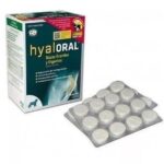 Hyaloral razas grandes pack 12 2 1